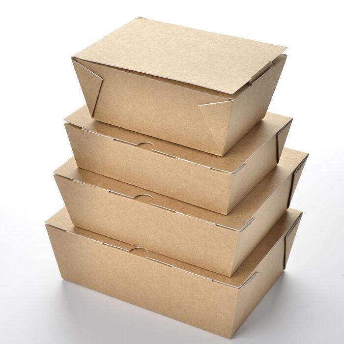 Disposable Takeaway Boxes - Image 6