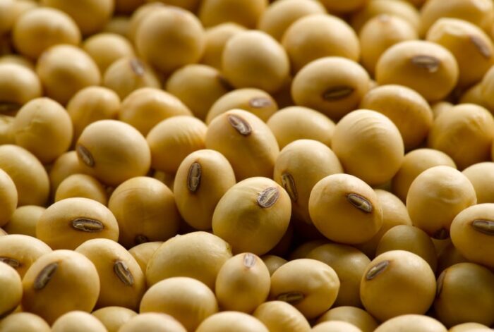 Crude Soybean Oil - Image 3