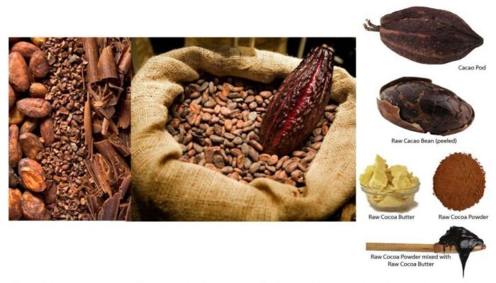 Cocoa Powder - Image 5